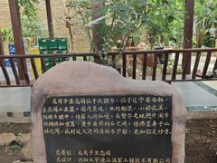 -北镇龙岗子生态园