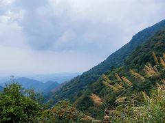 -东天目山风景区