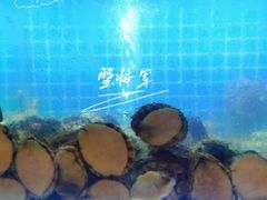 -蟹将军·松叶蟹和牛日料放题自助(K11店)