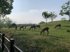 -良渚古城遗址公园
