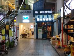 -猫咪博物馆(顶澳仔猫街店)