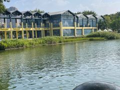 -煲煲掂风味煲仔饭餐厅(西区店)