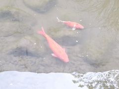 -中国湿地博物馆