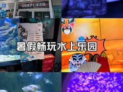 -江和美海洋公园