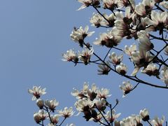 -木塔寺遗址生态公园