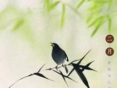 -金陵花卉交易市场