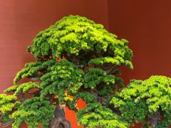 -阿伟海鲜楼·福建菜(延寿店)