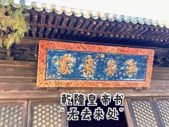 -大觉寺-停车场