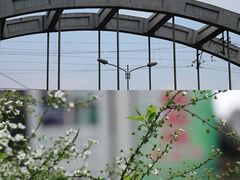 -云里小坐·小院里·团建·宴请·下午茶(三圣乡店)