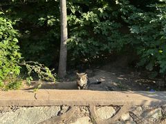 -鬼笑石后山停车场
