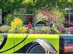 -苏州河梦清园环保主题公园