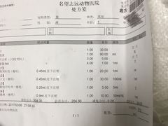 -瑞派名望志远动物医院·猫科·內科·异宠专科(直港大道店)