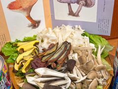 -阿山卓·野生菌火锅·纳西火塘烤肉