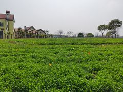 -歌斐颂巧克力小镇