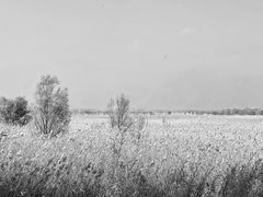 -野鸭湖国家湿地公园