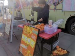 -莫子山公园
