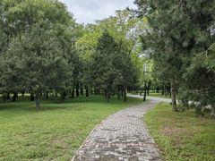 -洨河生态公园