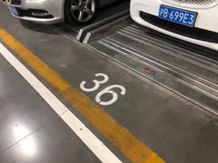 -白玉兰广场停车场