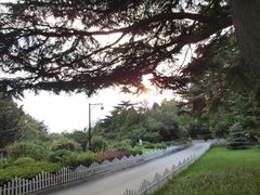 iphone_upload_pic-阿兹凯乐·老洋房西餐