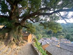 -杨家堂村