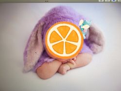 -西瓜庄园儿童摄影