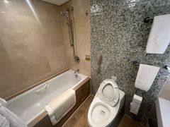 -国家会议中心大酒店