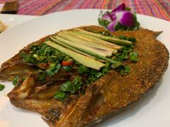 傣家香茅草烤鲈鱼-香巴拉云南餐厅(华莱坞店)