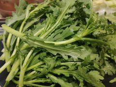 -南来顺饭庄·清真(南菜园店)
