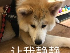 -YCHL Studios健身工作室(市二宫店)