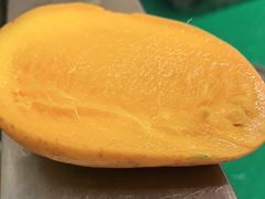 -钓仓鼠(洋桥北里小区店)
