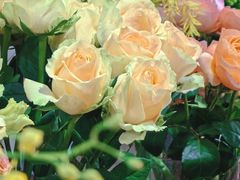 -何兮花店·气球派对鲜花店(马桥银春路万科城店)