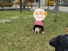 -长安上水缘度假庄园