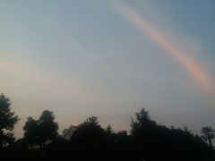 -鞠氏黑芝麻糊(水塔店)