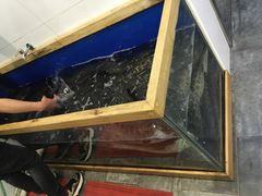 -活鱼馆(宜兴埠店)