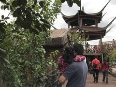 -北京呀路古热带植物园