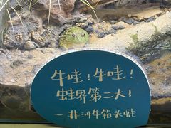 -中国湿地博物馆