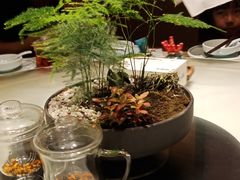 -佬麻雀·新湘菜(珠海金发购物中心店)