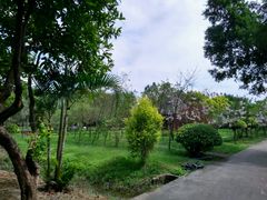 -广东花都香草世界旅游度假区