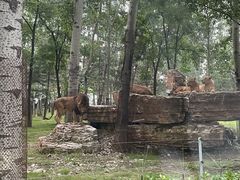 -秦皇岛野生动物园