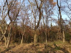 -句容茅山景区