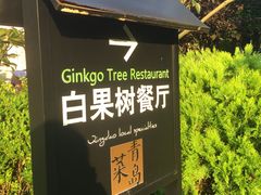 -青岛海景花园大酒店·白果树餐厅青岛菜