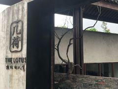 -几荷·恰似故人来(秀水广场店)