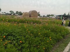 -嘉北郊野公园