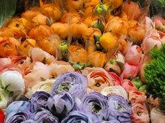 -双季花艺园艺市场(浦东店)