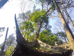 -凤栖山