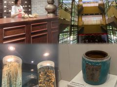 -广东中医药博物馆