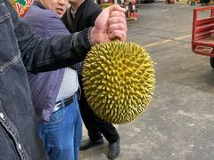 -双福水果批发市场