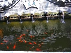-老张烤羊(王哥庄店)