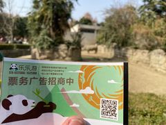 -成都动物园