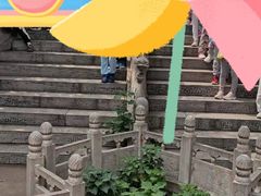 -东方巨龟苑景区